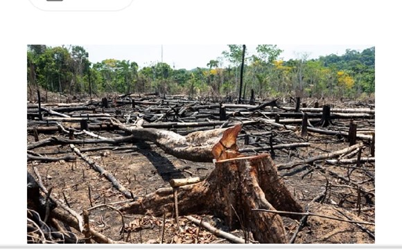 Côte d’Ivoire : La population ivoirienne réagit au combat mené par l’État contre la déforestation